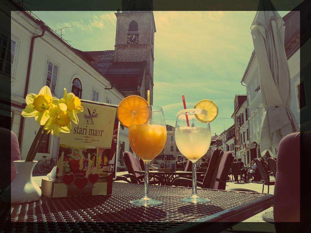 Guesthouse Stari Mayr Kranj Exterior foto